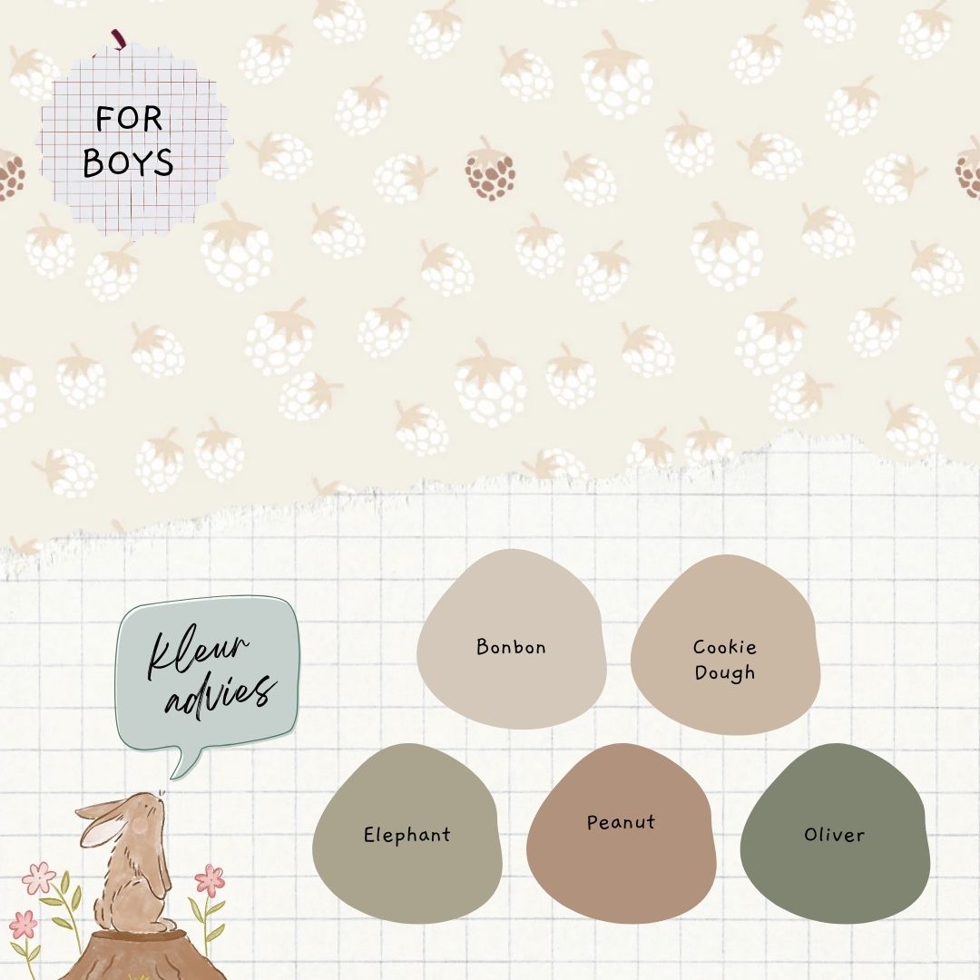 Olivia - Studio Pieni