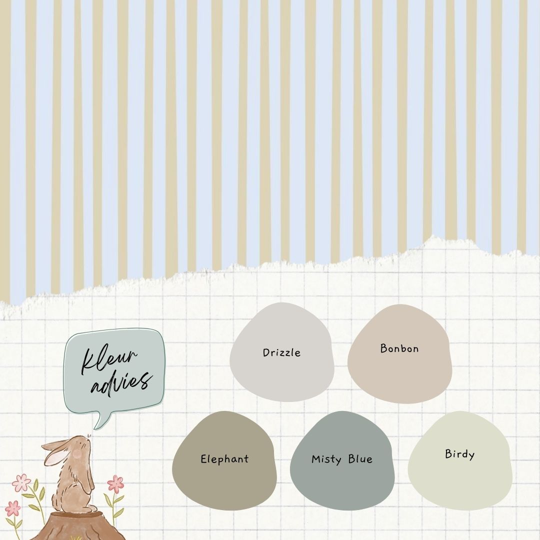 Boris - Studio Pieni