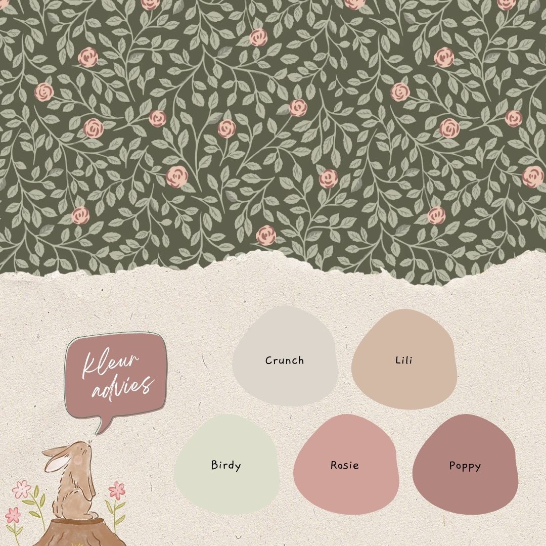 Climbing Rose Groen - Summer Gray