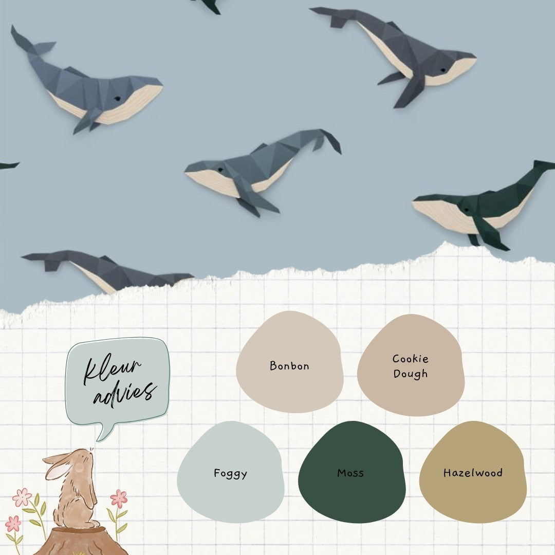 Kleuradvies Walvis behang lichtblauw