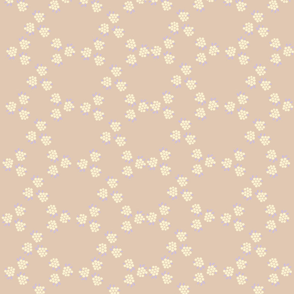 Milou - Studio Pieni