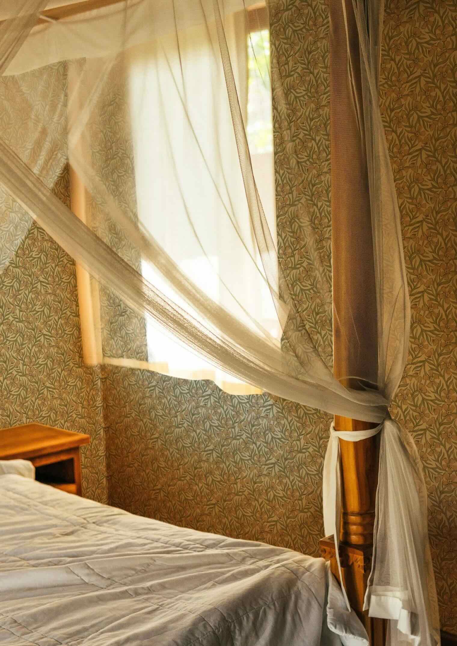 Sweet India Beige - Summer Gray