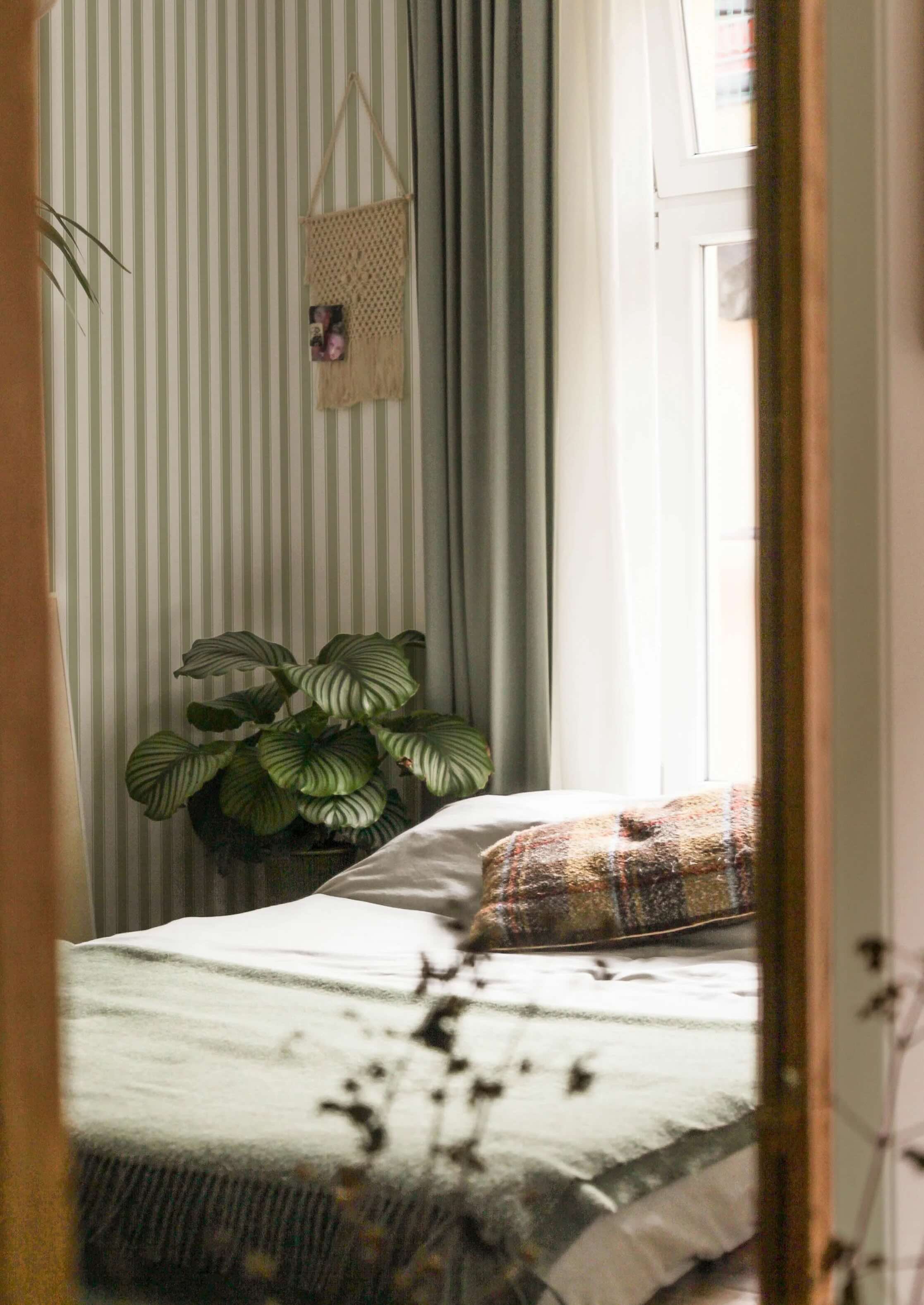 French Stripes Green - Summer Gray