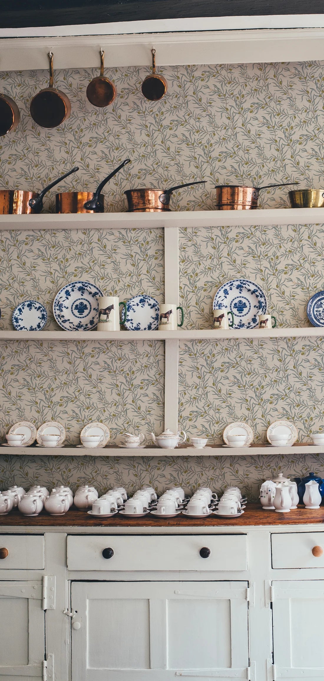 Bjorn Ocean - Summer Gray