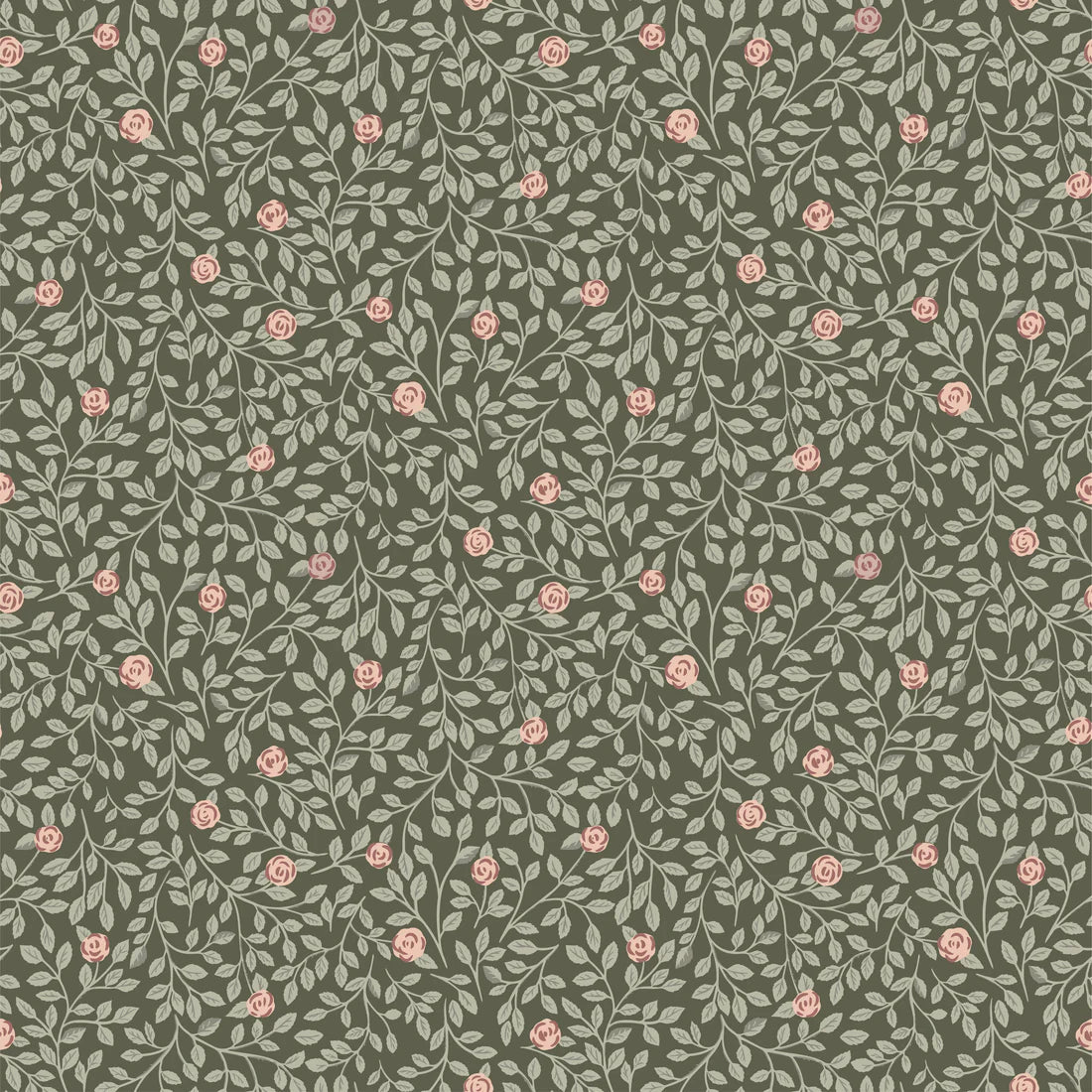 Climbing Rose Groen - Summer Gray