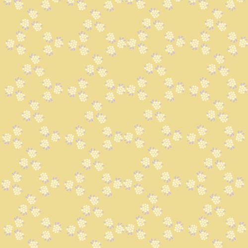 Summer - Studio Pieni