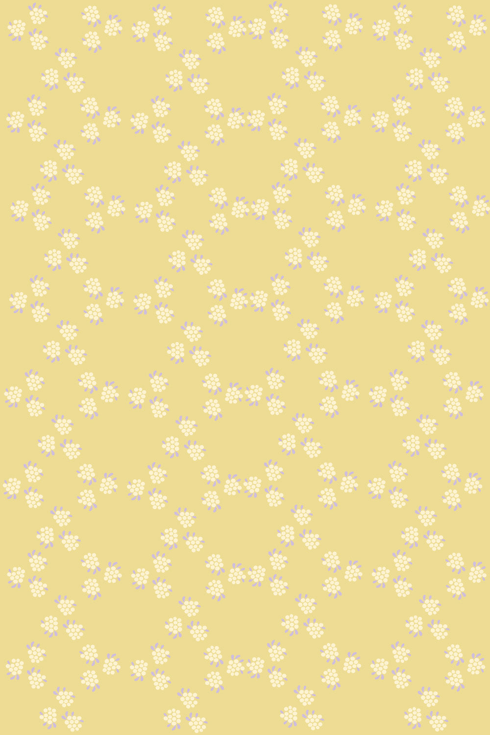 Summer - Studio Pieni