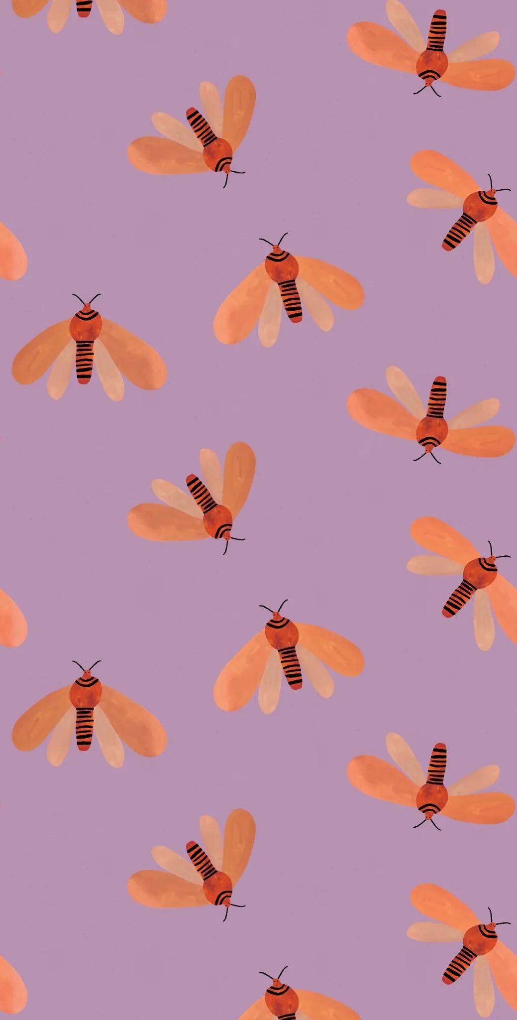 Striped Raspberry - Bibelotte