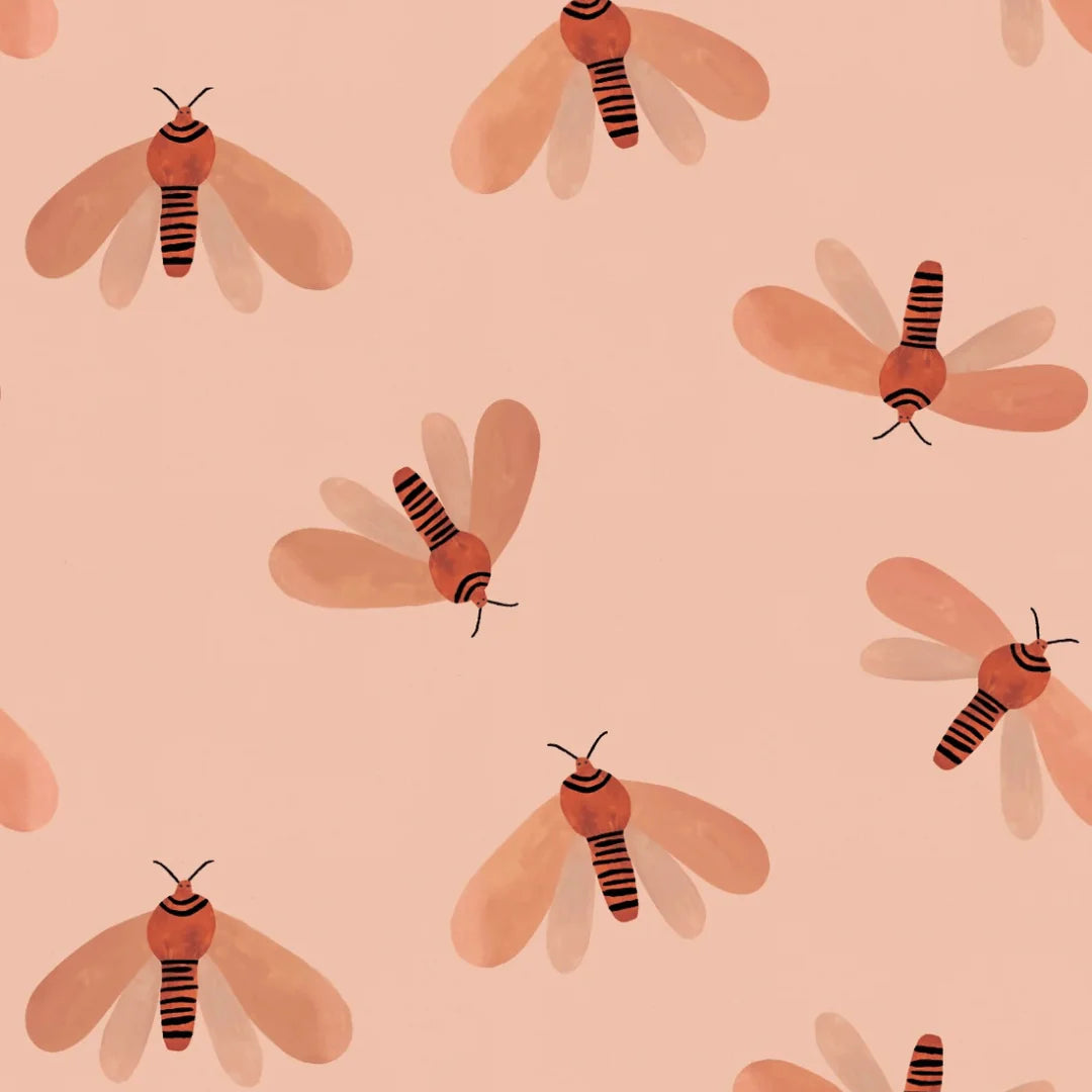 Striped Raspberry - Bibelotte
