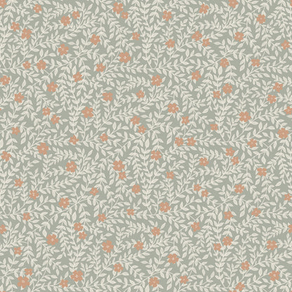 Climbing Rose Blue - Summer Gray