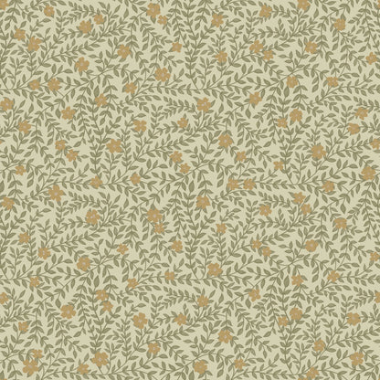 Lief Summer - Summer Gray