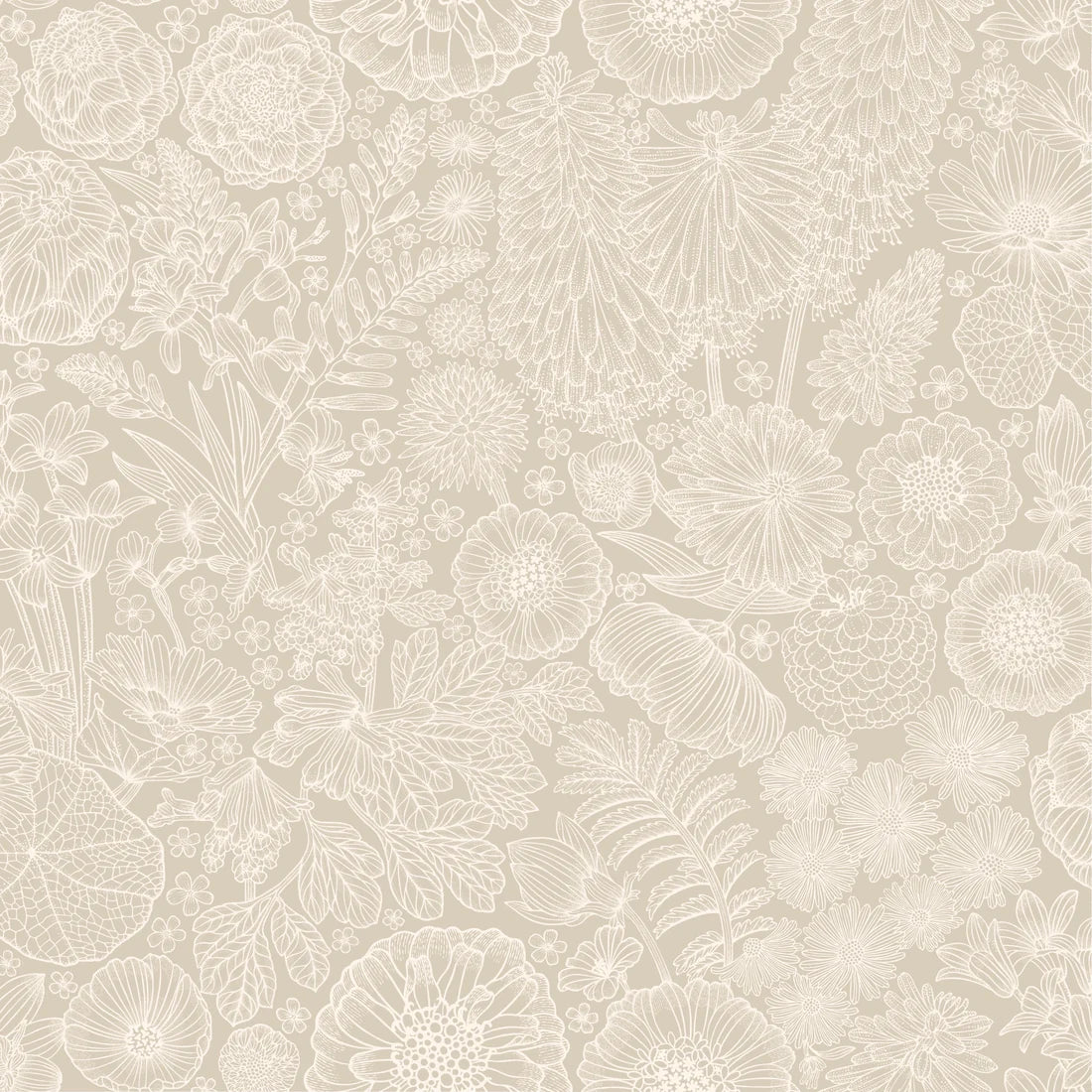 August Beige - Summer Gray