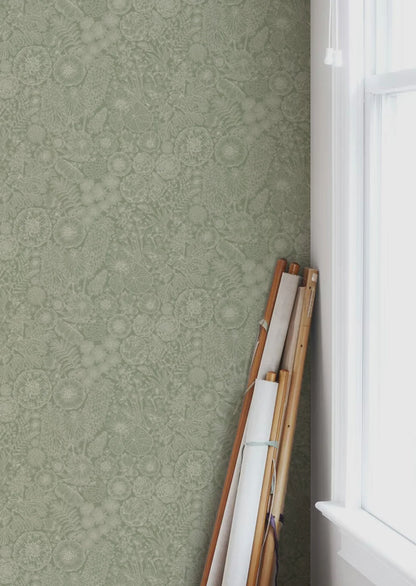 August Groen - Summer Gray