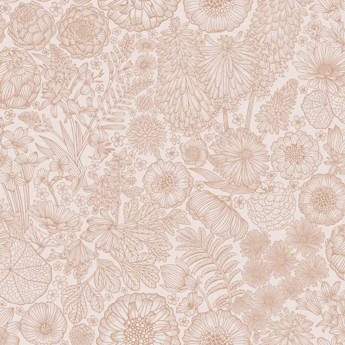 August Mokka - Summer Gray