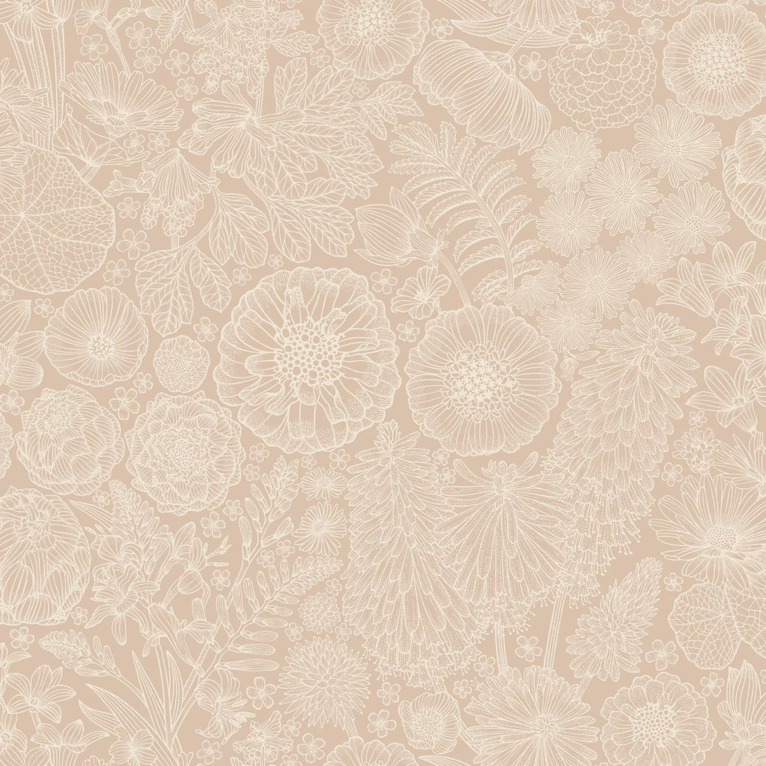 August Roze - Summer Gray