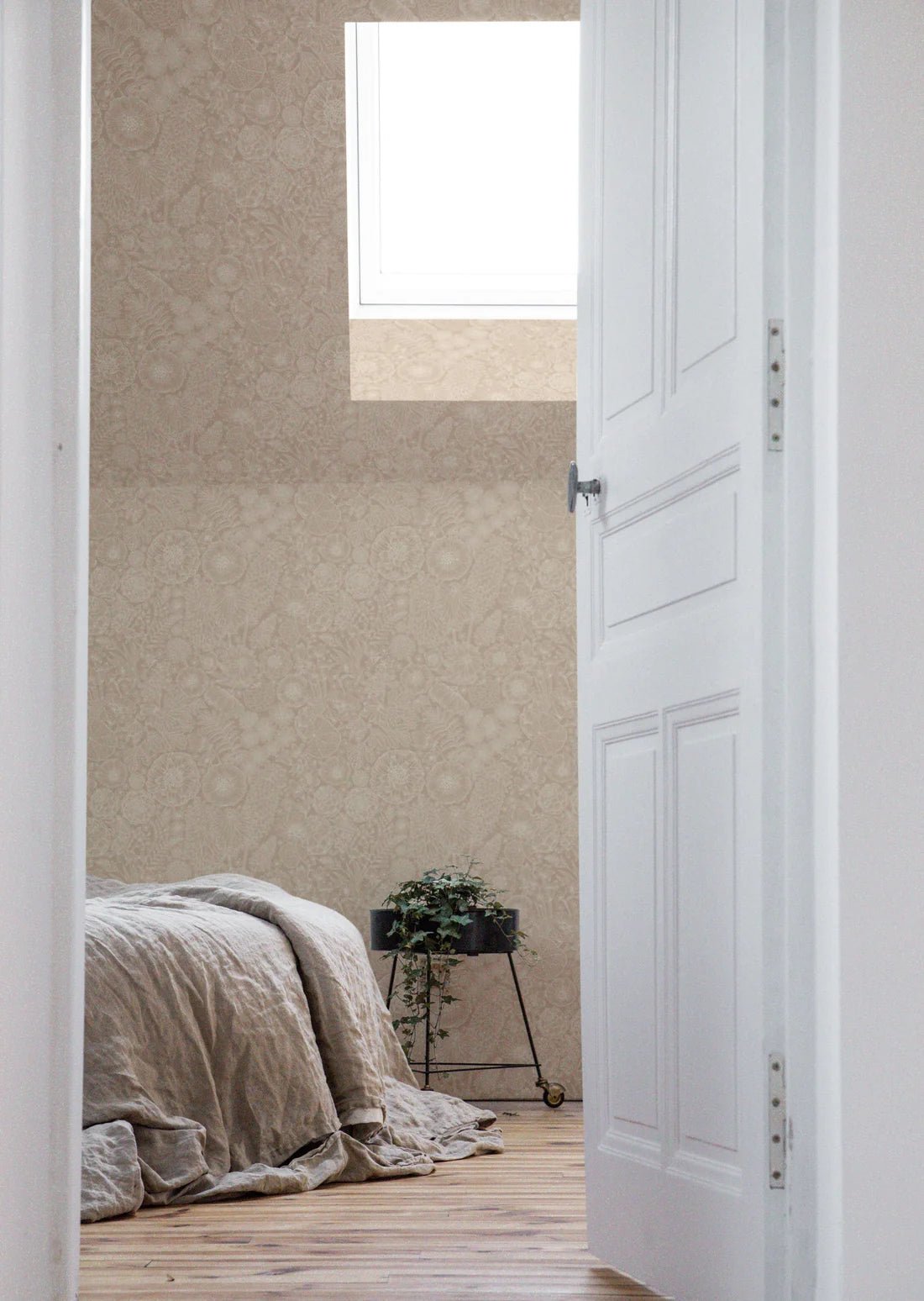 August Roze - Summer Gray