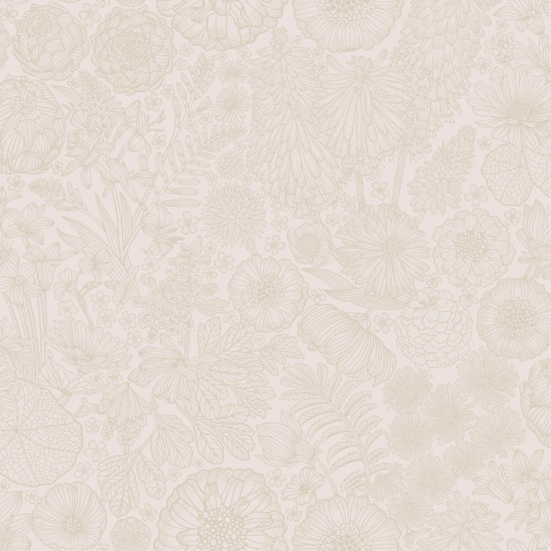 August Zand - Summer Gray