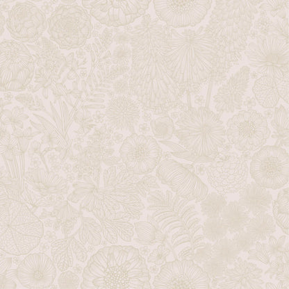 August Zand - Summer Gray