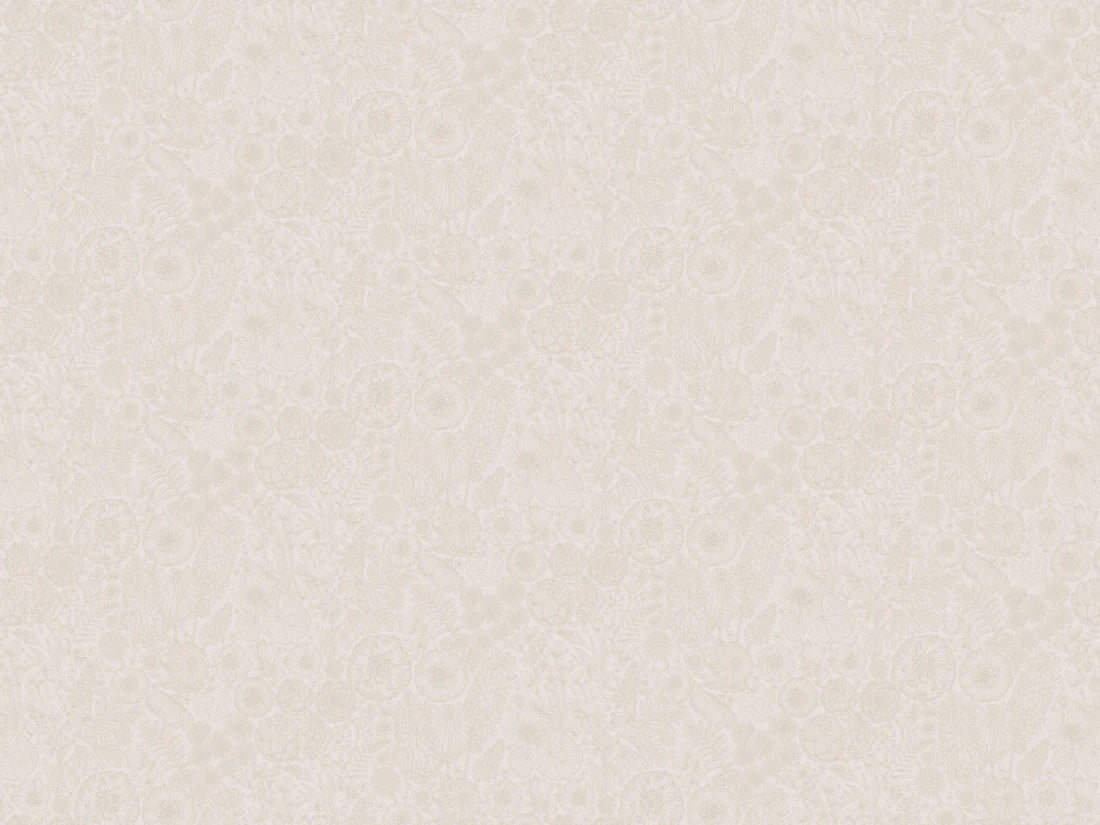 August Zand - Summer Gray